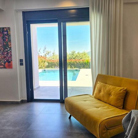 Nemesis Luxury Villas Apolpaina 외부 사진